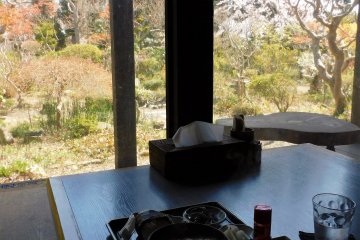 Looking out at Ecru's garden